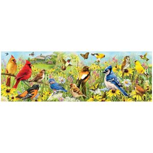 Eurographics panoramische puzzel - Tuinvogels, 1000 stukjes