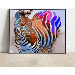 Colourful zebra – Schilderen op nummers