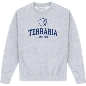 Terraria Unisex Sweatshirt met opdruk voor volwassenen (S) (Heide Grijs)