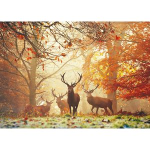 Puzzel Stags,Magic Forest1000 Heye 29805