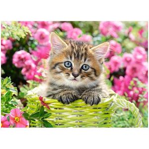 Puzzel Castorland - Katje in bloementuin, 100 stukjes