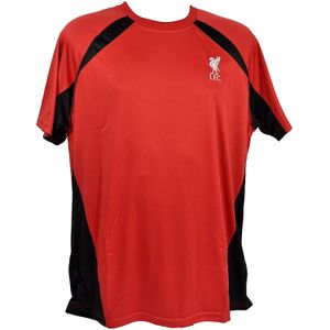 Liverpool FC Kinderen/Kinderen Paneel Polyester T-shirt (122) (Rood/zwart)