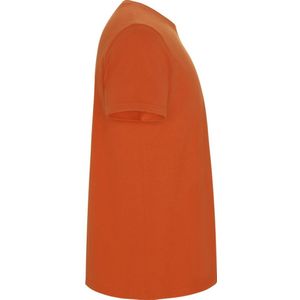 Roly Kinder/Kinder Stafford T-shirt met korte mouwen (116) (Oranje)