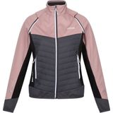 Regatta Dames/Dames Steren Hybride Jas (40 DE) (Dusky Rose/Seal Grey)