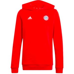 2023-2024 Bayern Munich Hoody (Red) - Kids