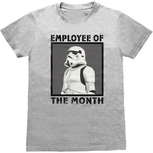 Star Wars Uniseks volwassen medewerker van de maand Stormtrooper T-Shirt (M) (Grijze Heide)