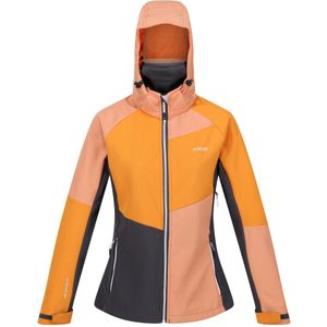 Regatta Dames/Dames Desoto IX Soft Shell Jas (40 DE) (Abrikoos Crush/Sinaasappelpeper)