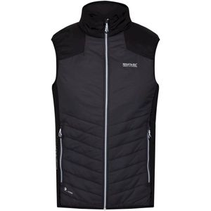 Regatta Heren Halton VI Lichtgewicht Body Warmer (M) (Donkergrijs/Zwart)