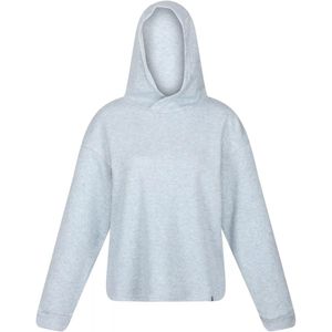 Regatta Dames/Dames Kassidy Marl Hoodie (34 DE) (Ijsgrijs)