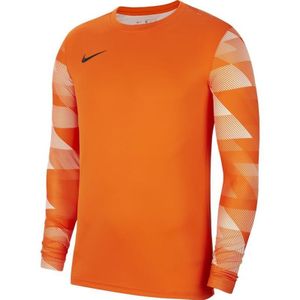 Nike Park IV Goalkeeper Sweatshirt CJ6066-819