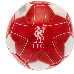 Liverpool FC Minivoetbal  (Anfield Rood)
