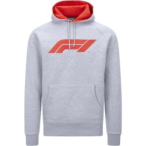 2022 Formula 1 F1 Large Logo Hooded Sweat (Grey)