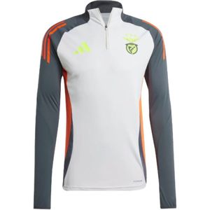 2024-2025 Benfica Training Top (Grey)