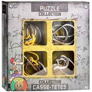 Metalen Breinpuzzels Expert (4st)