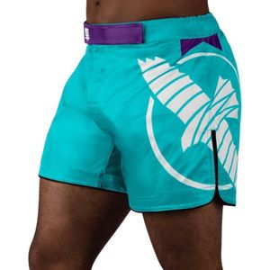 Hayabusa Icon Fight Shorts Mid-Lengte - Teal / Wit - S