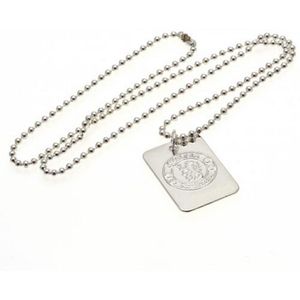 Taylors - Chelsea FC Verzilverde Dog Tag en Ketting  (Zilver)