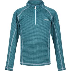 Regatta Kinderen/Kinderen Berley Half Zip Top met lange mouwen (158) (Pagode Blauw)