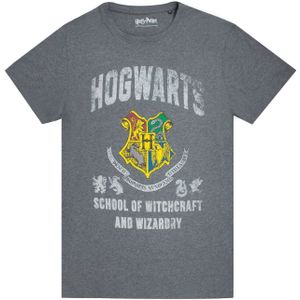 Harry Potter Mens Hogwarts T-Shirt