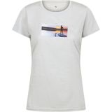 Regatta Dames/Dames Fingal VII Lake Marl T-Shirt (42 DE) (Cyberspace)