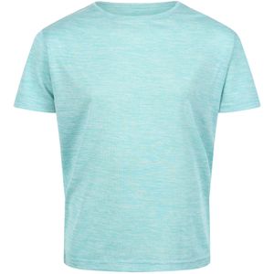 Regatta Kinderen/Kinderen Fingal T-shirt (158) (Turquoise)