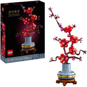 LEGO Icons 10369 Botanicals