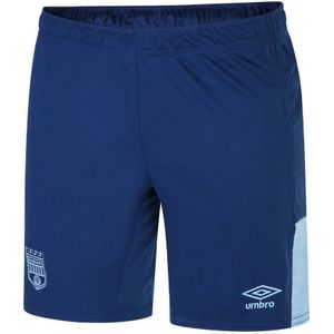 Brentford FC Heren 22/24 Umbro Shorts (S) (Blauw)