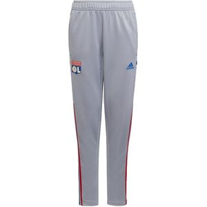 Lyon Training Pants (Halo Silver)