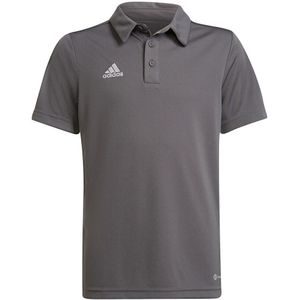 adidas - Entrada 22 Polo Youth - Grijze Polo Kids - 152