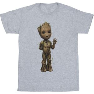 Marvel Heren Ik Ben Groot Wave Pose T-Shirt (S) (Sportgrijs)