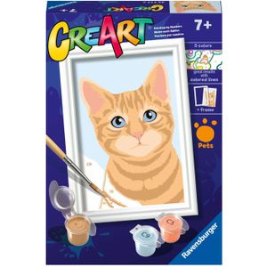 CreArt Schilderen op Nummer - Oranje Tabby