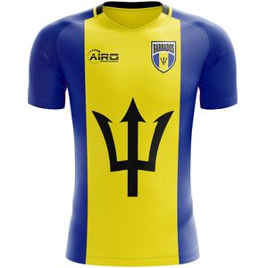 2022-2023 Barbados Home Concept Football Shirt - Kids (Long Sleeve)