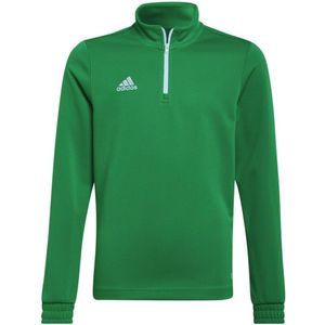 adidas - Entrada 22 Training Top Youth - Groene Longsleeve - 128