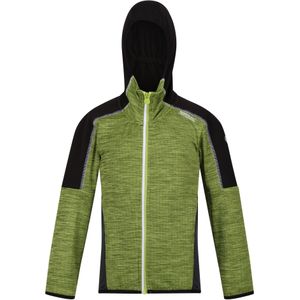 Regatta Burnton Full Zip Fleecejack voor kinderen/Kinderen (146-152) (Groene algen/zwart)