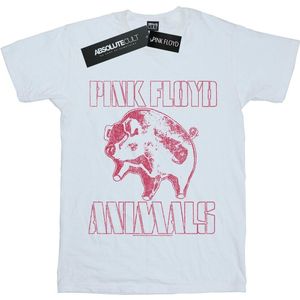 Pink Floyd Meisjes Dieren Algie Katoenen T-Shirt (152-158) (Wit)