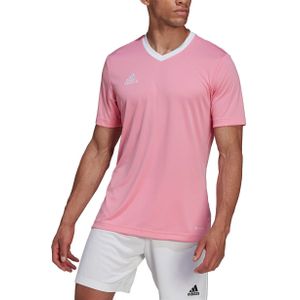adidas - Entrada 22 Jersey - Roze voetbalshirt - S