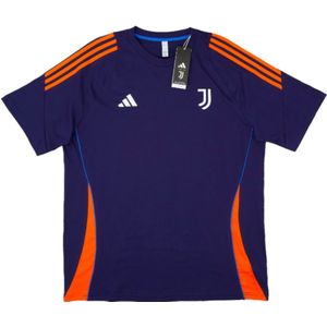 2024-2025 Juventus Training Tee (Navy)