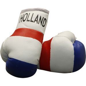 Mini bokshandschoentjes - Sport & outdoor artikelen van de beste merken  hier online op beslist.nl