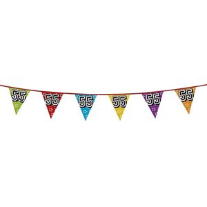 Party Shop 55th Birthday Banner