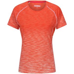 Regatta Dames/Dames Ombre T-Shirt (10 UK) (Satsuma)