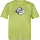 Regatta Kinderen/Kinderen Alvarado VII Gevestigd T-Shirt (116) (Groene algen)