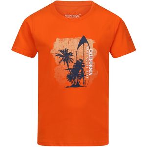 Regatta Kinderen/Kinderen Bosley VI Surfboard T-Shirt (170-176) (Blaze Oranje)