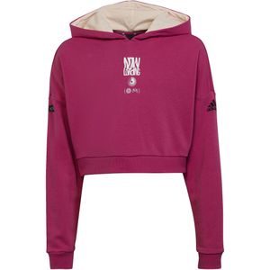 Adidas Arkd3 Ch Hoodie Roze Meisje