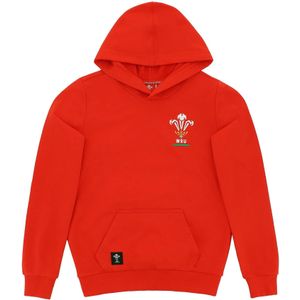 Junior Hoodie Pays de Galles Rugby XV Merch CA Groc