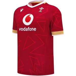 Trainingsshirt Pays de Galles 2024/25