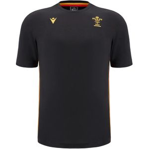 Wales Shirt TRV 2024