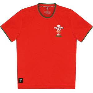 Kindertrui Pays de Galles Ca Groc