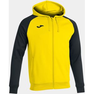 Hooded sweatshirt Joma Academy IV