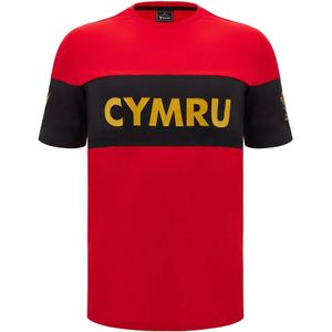 Wales Shirt Leisure 2024