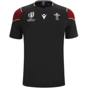 Trainingsshirt Pays de Galles 2023