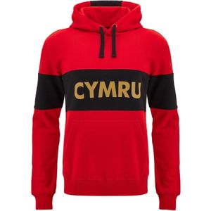 Wales Hoodie Leisure 2024